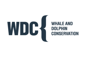 Logo WDC